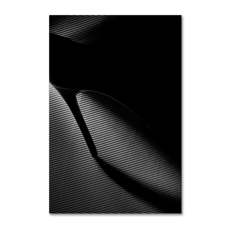 Erik Schottstaedt 'Black Heel Down' Canvas Art,12x19